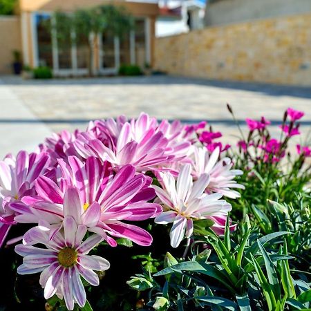 זאדאר Villa Karla מראה חיצוני תמונה