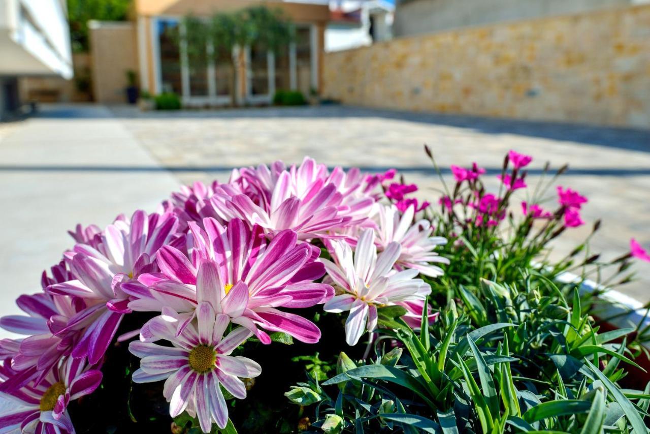 זאדאר Villa Karla מראה חיצוני תמונה